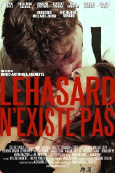 Le hasard n'existe pas (2008) - Stream Online