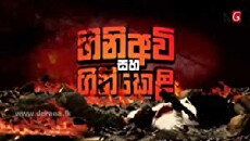 Gini Avi Saha Gini Keli (2014) - Stream Online