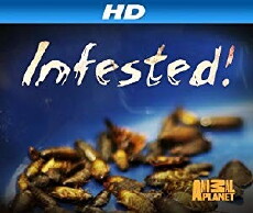 Infested! (2011) - Stream Online