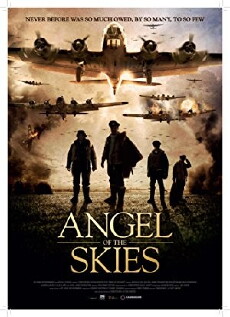Angel of the Skies (2013) - Stream Online