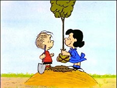 It's Arbor Day, Charlie Brown (1976) - Stream Online