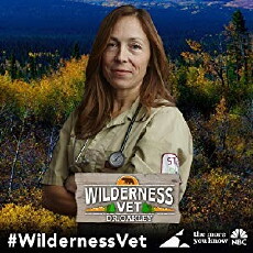 Wilderness Vet (2016) - Stream Online