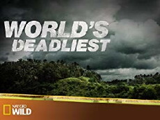 World's Deadliest (2010) - Stream Online