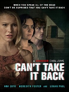 Can't Take It Back (2017) - Stream Online