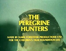 The Peregrine Hunters (1978) - Stream Online