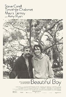 Beautiful Boy (2018) - Stream Online