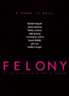 Felony (2019) - Stream Online