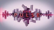 The Pulse (2010) - Stream Online