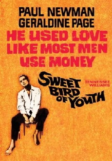 Sweet Bird of Youth (1962) - Stream Online
