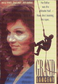 Grand Larceny (1987) - Stream Online