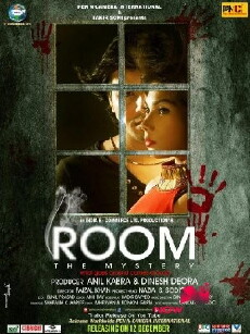 Room: The Mystery (2015) - Stream Online