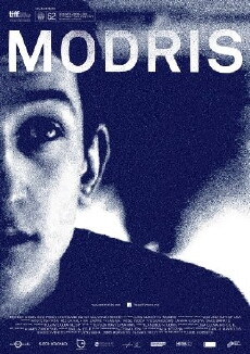 Modris (2014) - Stream Online