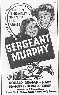 Sergeant Murphy (1938) - Stream Online