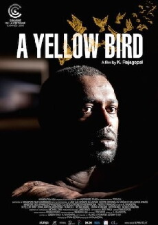 A Yellow Bird (2016) - Stream Online