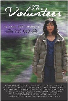 The Volunteer (2013) - Stream Online