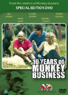 10 Years of Monkey Business (2007) - Stream Online