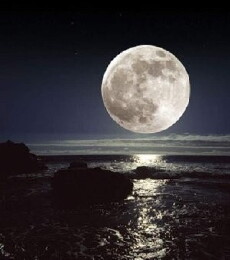 Moon Over Lanai (2016) - Stream Online