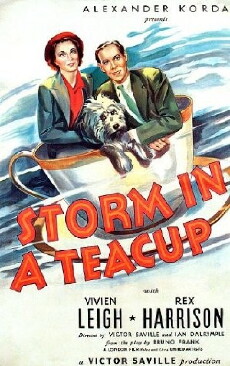 Storm in a Teacup (1937) - Stream Online