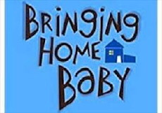 Bringing Home Baby (2005) - Stream Online