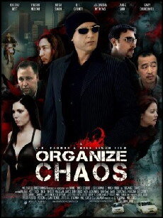 Organize Chaos (2014) - Stream Online