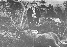 Troll-Elgen (1927) - Stream Online
