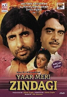 Yaar Meri Zindagi (2008) - Stream Online