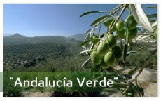 Andalucia verde (2015) - Stream Online