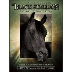 The New Adventures of the Black Stallion (1990) - Stream Online
