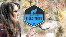 Minecraft Field Trips (2016) - Stream Online