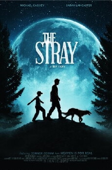 The Stray (2017) - Stream Online