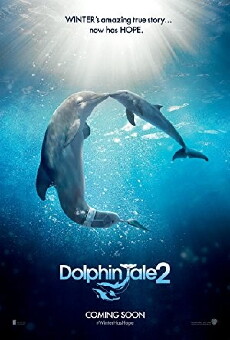 Dolphin Tale 2 (2014) - Stream Online
