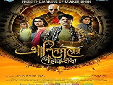 Alinagarer Golokdhadha (2018) - Stream Online