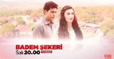 Badem sekeri (2017) - Stream Online