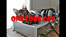 One Lone Cat (2017) - Stream Online