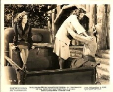 The Forest Rangers (1942) - Stream Online