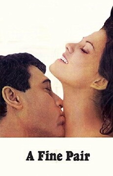 A Fine Pair (1968) - Stream Online