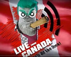 Live from Canada, It's Ed the Sock (2016) - Stream Online