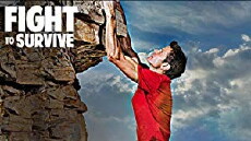 Fight to Survive (2014) - Stream Online