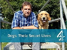 Dogs: Their Secret Lives (2014) - Stream Online