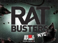 Rat Busters NYC (2011) - Stream Online