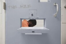 The wHOLE (2015) - Stream Online