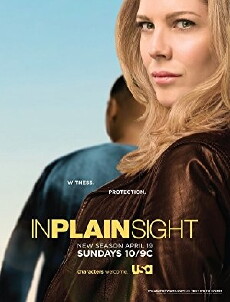 In Plain Sight (2008) - Stream Online
