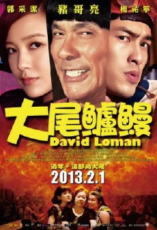 David Loman (2013) - Stream Online