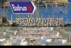 Bodrum da Yarim Yamalak (2016) - Stream Online