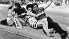 Wedding Night (1967) - Stream Online