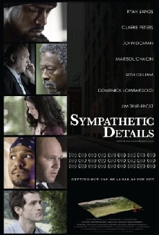 Sympathetic Details (2008) - Stream Online
