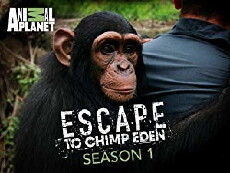 Escape to Chimp Eden (2008) - Stream Online