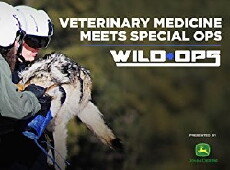 Wild Ops (2017) - Stream Online