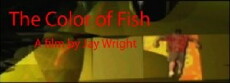 The Color of Fish (2001) - Stream Online