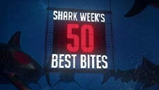 Shark Week's 50 Best Bites (2018) - Stream Online